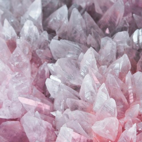 jeune-geneve-se-reposer-jeunant-guerir-microbiote-intermittent-nutrition-sonotherapie-diete-alimentation-jeuner-mediation-yoga-sejours-bains-sonores-spa-etude-chuv-randonnee