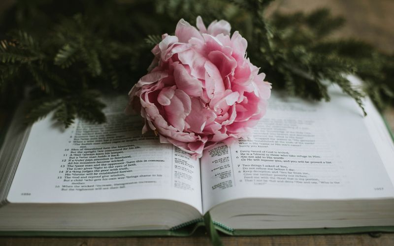 jeune-geneve-se-reposer-jeunant-guerir-microbiote-intermittent-nutrition-sonotherapie-diete-alimentation-jeuner-mediation-yoga-sejours-bains-sonores-spa-etude-chuv-randonnee