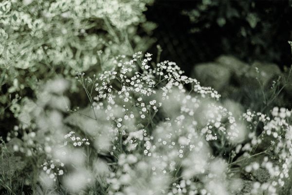 jeune-geneve-se-reposer-jeunant-guerir-microbiote-intermittent-nutrition-sonotherapie-diete-alimentation-jeuner-mediation-yoga-sejours-bains-sonores-spa-etude-chuv-randonnee